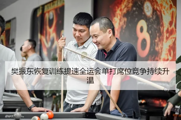 樊振东恢复训练提速全运会单打席位竞争持续升温
