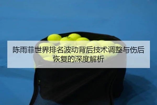 陈雨菲世界排名波动背后技术调整与伤后恢复的深度解析