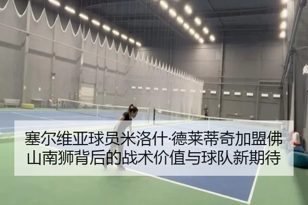 塞尔维亚球员米洛什·德莱蒂奇加盟佛山南狮背后的战术价值与球队新期待